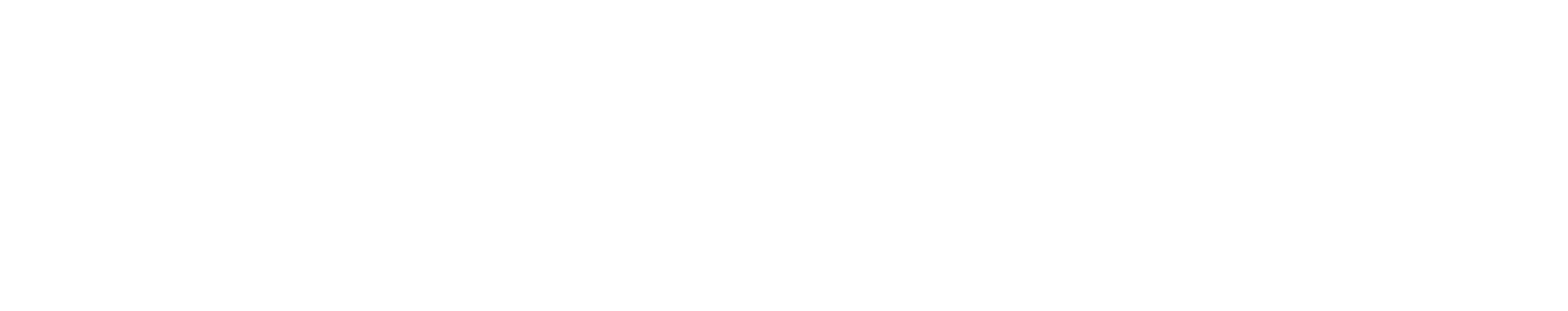 Excellence Snowsports